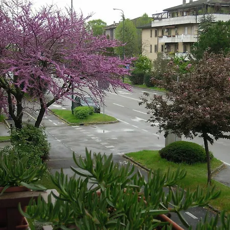 Fiorita *